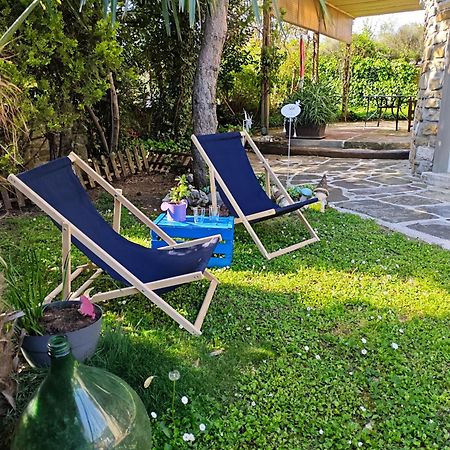 Apartments Baredi إيزولا المظهر الخارجي الصورة